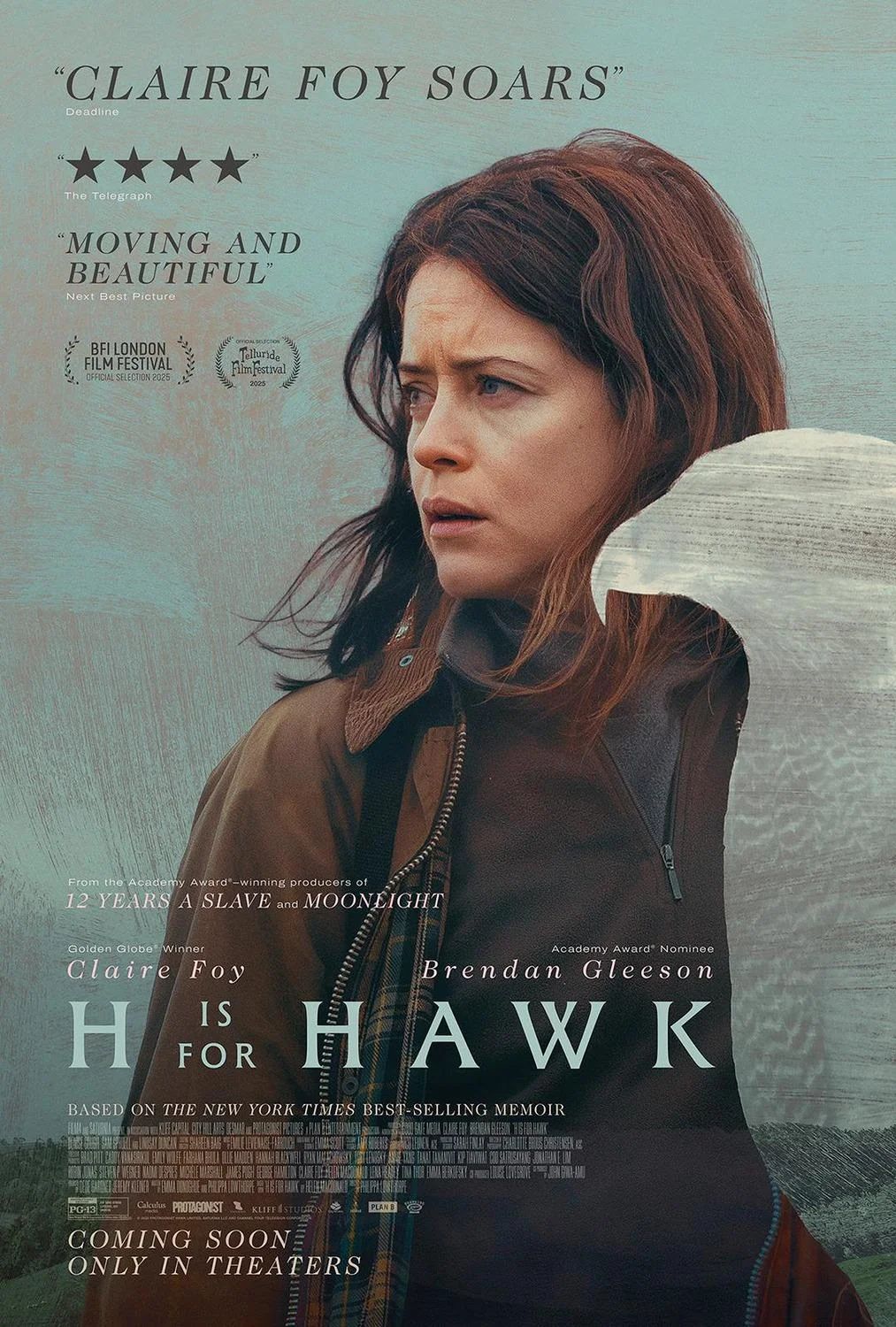 h is for hawk poster tall